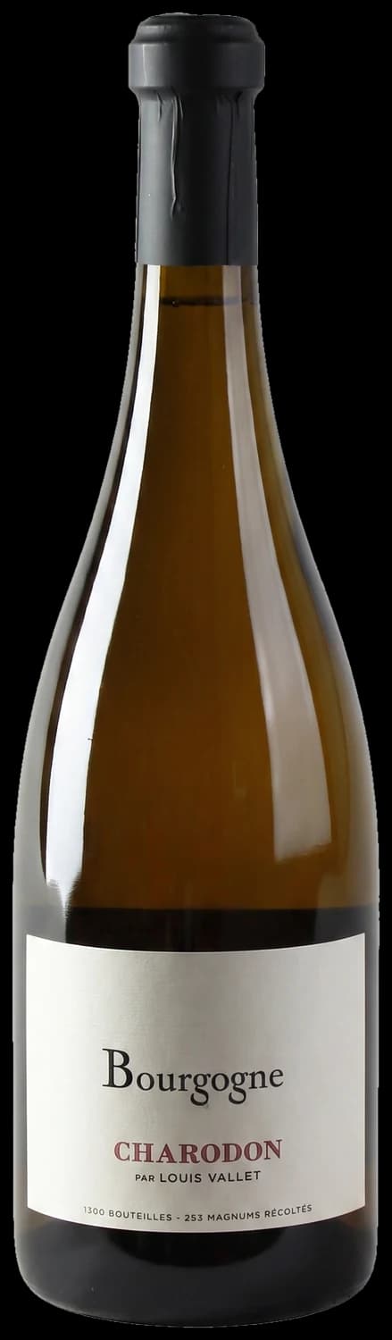Bourgogne Blanc